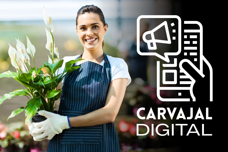 desarrollo de paginas webs para pymes diseño web para pymes en costa rica precios carvajal digital web para pymes
